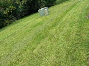 Karen B.'s Lawn Service service result