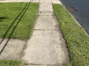 Nayoun L.'s Lawn Service service result