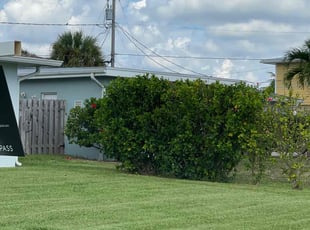 Bush Trimming by Robert Adams for Mylissa F. in Satellite Beach, FL