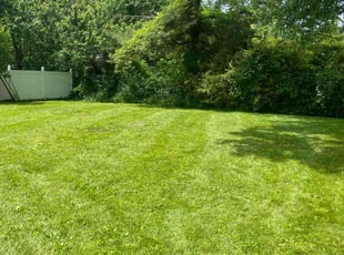 Anna P.'s Lawn Mowing service result