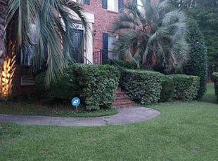 Bush Trimming by Rodney Rhone for Dewayne H. in Columbia, SC