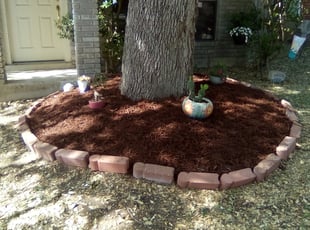 Mulching by Duane Cotton for Dan L. in San Antonio, TX