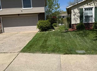 Randolph J.'s Lawn Mowing Service service result