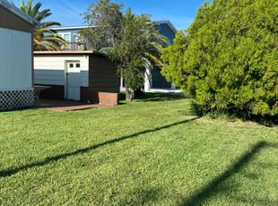 Christine C.'s Grass Cutting service result