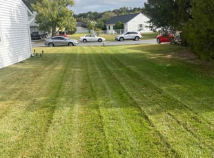 Scott T.'s Lawn Mowing service result