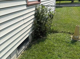Bush Trimming by Richard Lademan for Debbie B. in Lansing, MI
