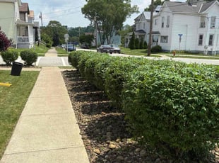 Bush Trimming by Kalin Gerhard for Melinda R. in Greensburg, PA