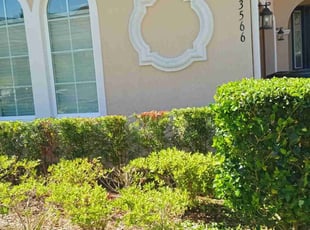 Bush Trimming by Willie Carmichael for Sandra L. in Apopka, FL