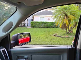 Bush Trimming by Charles wooten for Merna T. in Minneola, FL