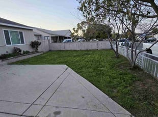 Jan G.'s Grass Cutting service result