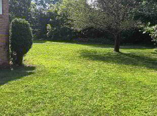 Joan L.'s Yard Cutting service result