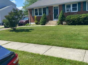 Derrick C.'s Lawn Mowing service result