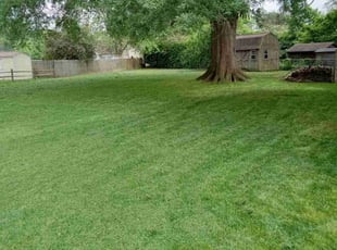 Callie A.'s Lawn Maintenance service result