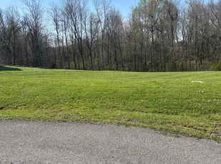 Amy W.'s Lawn Mowing service result