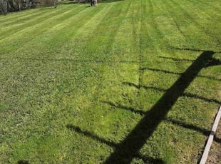 Amber S.'s Lawn Mowing Service service result