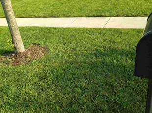 Jennifer W.'s Lawn Maintenance service result
