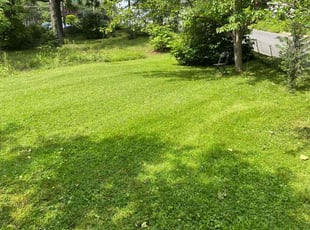 Bernice W.'s Lawn Mowing service result
