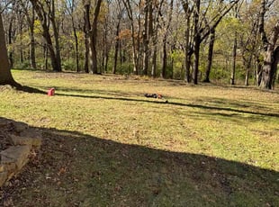 Leaf Removal by Billy Maples for Cathy B. in Kansas City, MO