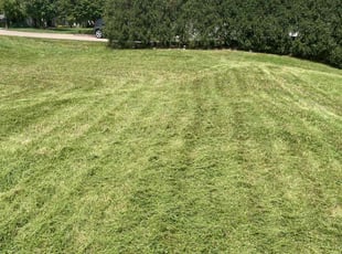Patricia B.'s Lawn Service service result
