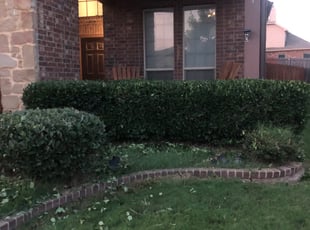 Bush Trimming by Eric Martinez for Carolyne N. in Fort Worth, TX