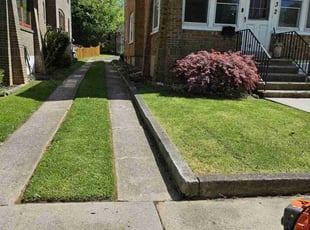 Pia-Donna I.'s Lawn Maintenance service result