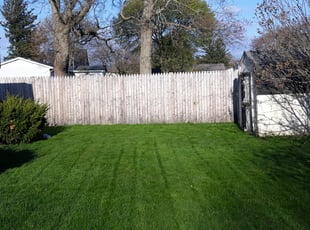 Theo C.'s Lawn Mowing Service service result