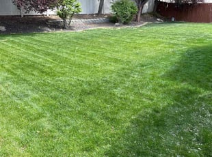 Russell P.'s Lawn Service service result
