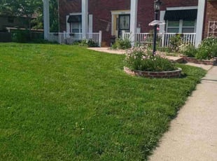 Arturo Q.'s Lawn Care service result