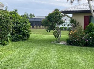 Pat m.'s Lawn Service service result