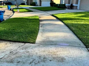 Yvonne E.'s Lawn Maintenance service result