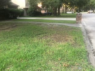 Leaf Removal by Manuel Nunez for Jeremy A. in Houston, TX