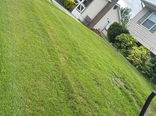 Titanica P.'s Lawn Service service result
