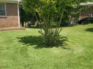 Bush Trimming by Kevin Thomas for Renee W. in Center Point, AL