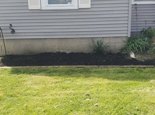Cleanups by Cedric Mills Sr. for Amanda B. in Toledo, OH