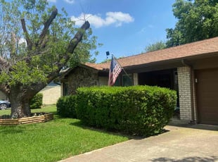 Bush Trimming by Shameem Mohmand for Paula H. in Bedford, TX