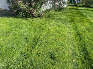 Mary P.'s Lawn Mowing Service service result