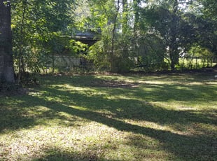 Leaf Removal by Derrick gadsden for Sam M. in Goose Creek, SC