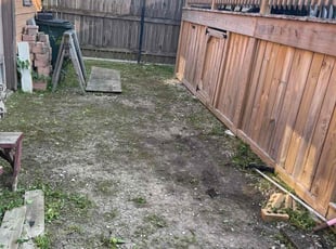 Cleanups by Felix Alejos for Yolanda R. in Elmwood Park, IL