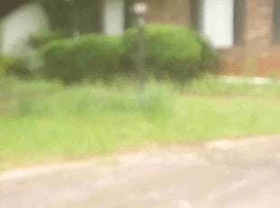 Bush Trimming by Shaquille Davis for Karl F. in Greenville, SC
