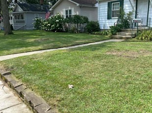 irvin d.'s Lawn Maintenance service result