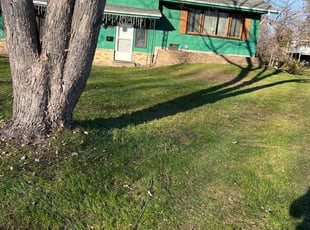 Leaf Removal by Santos Blanco for Debbie G. in Minneapolis, MN