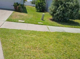 Roanna F.'s Yard Cutting service result