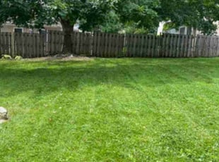 Deborah L.'s Lawn Care service result