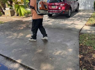 Leaf Removal by Zariya McClary for Teresa H. in Tampa, FL