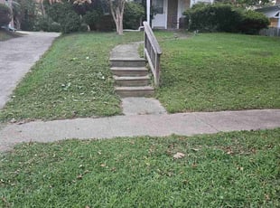 Terri S.'s Lawn Mowing Service service result