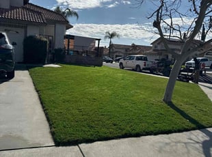 Torea B.'s Lawn Care service result