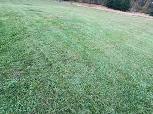 LeRoy A.'s Lawn Care service result