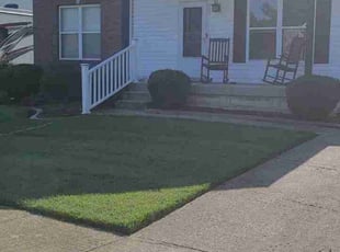 Bush Trimming by Hartford Kaufman Jr. for Erik K. in Louisville, KY
