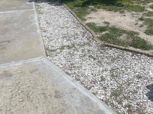 Weeding by Tyler Greeley for Susan A. in Seminole, FL