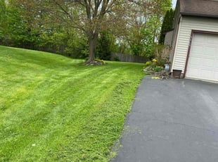 Jenna W.'s Lawn Mowing Service service result
